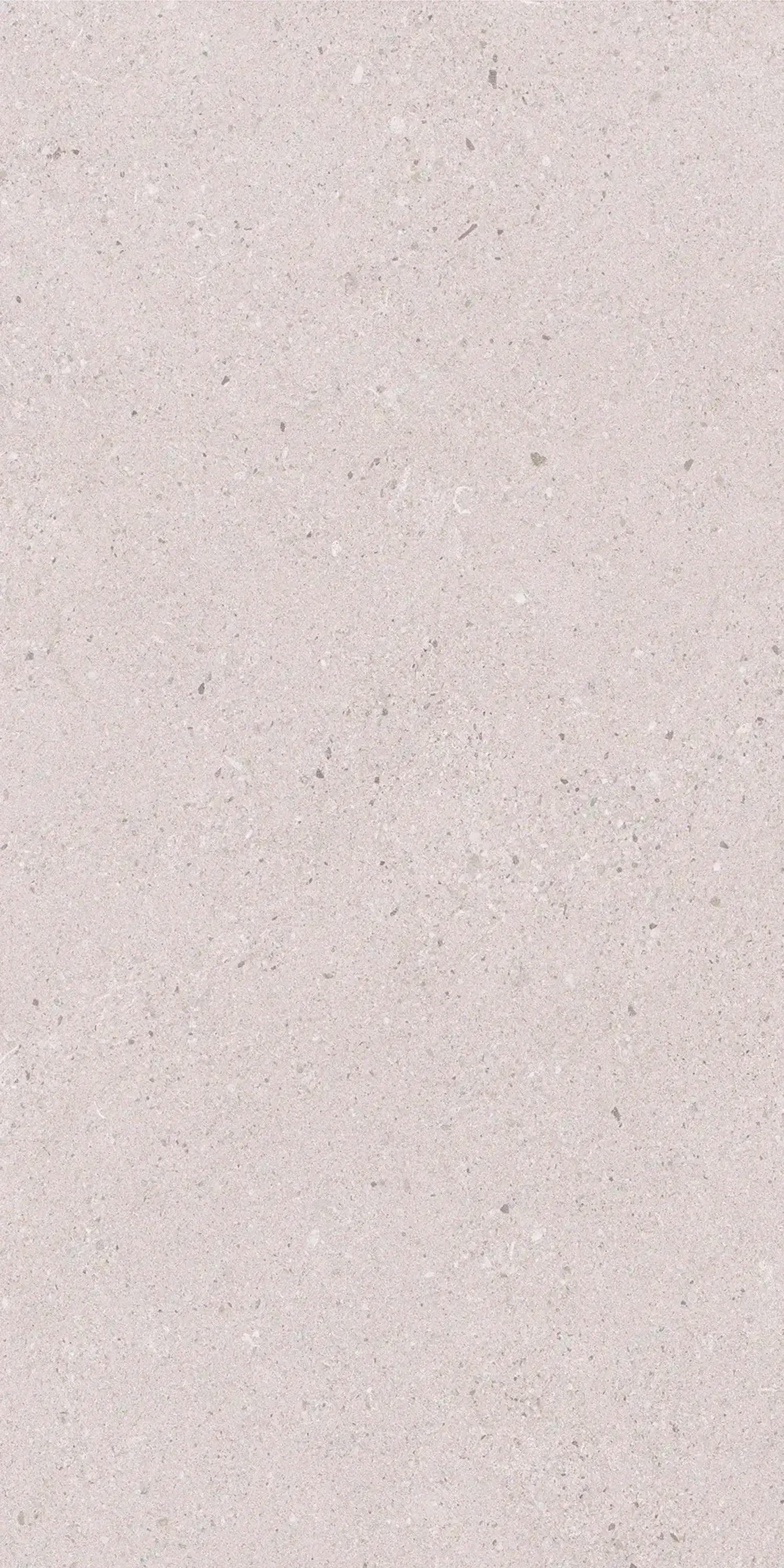 Concreta Concrete-Look Porcelain Tile Ivory